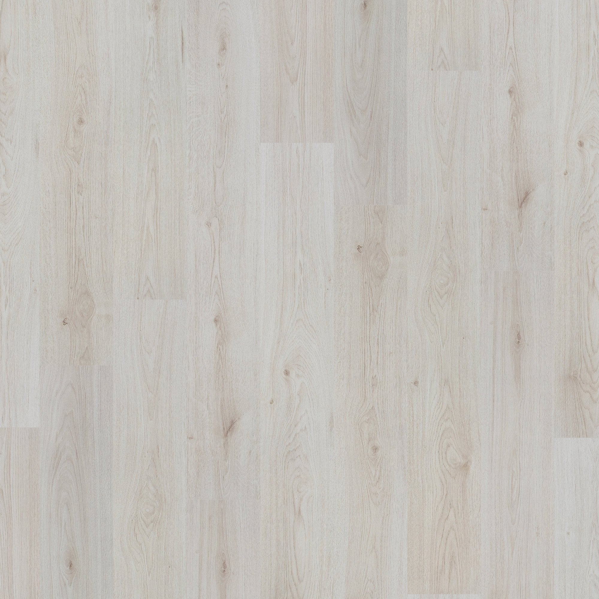 Trend Oak White - Basic 6mm Laminate Flooring - Image 2