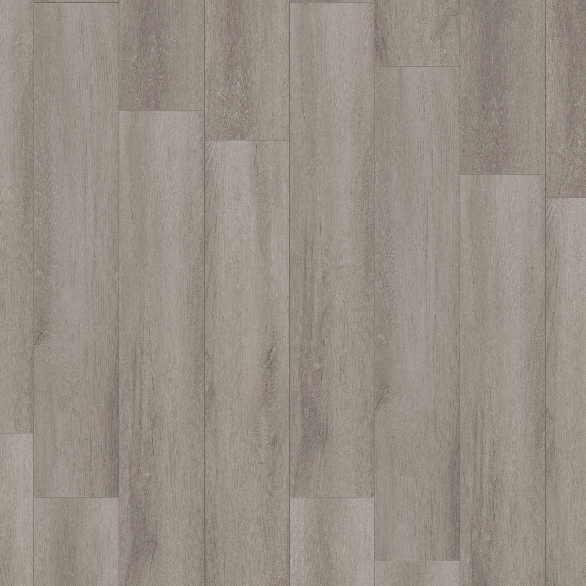 Pristine Ivory Oak - Comfort Luxe Ultra 12mm Laminate Flooring - Image 2